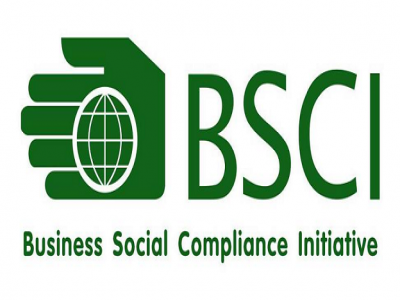 CSR là gì? Tổng hợp Một số tiêu chuẩn về Trách Nhiệm Xã Hội
