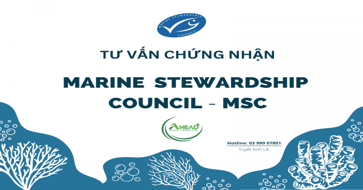 Tư Vấn Chứng Nhận MSC - Marine Stewardship Council