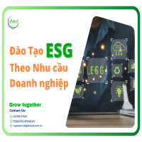 Đào tạo và Cấp chứng chỉ sau đào tạo ESG - Giải pháp bền vững cho DN