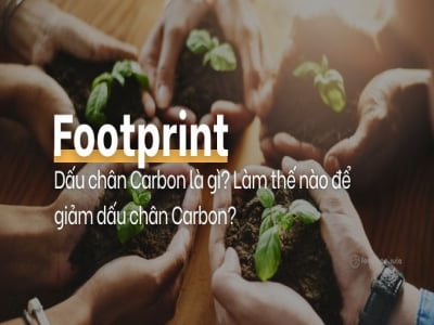 Dấu chân Carbon- Carbon Footprint Là Gì? Giảm Thiểu Dấu Chân Carbon cho Doanh Nghiệp
