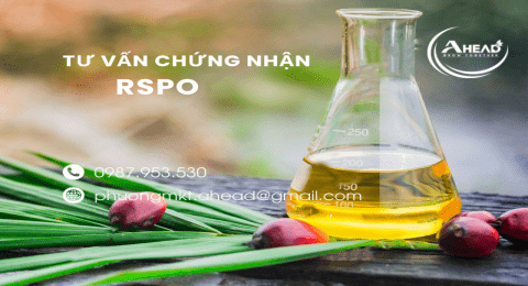 TIÊU CHUẨN RSPO LÀ GÌ?