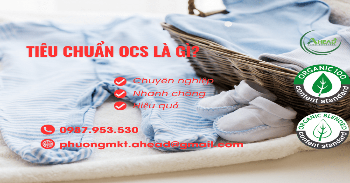 10. Tương lai của tiêu chuẩn OCS