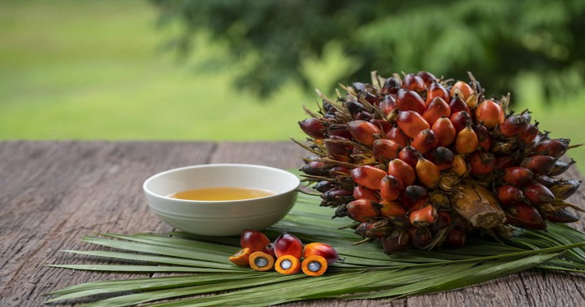 Chứng nhận RSPO là gì?