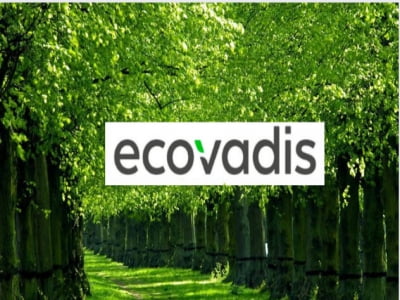 ECOVADIS CERTIFICATE CONSULTING – SUSTAINABLE BUSINESS RELATIONSHIP.