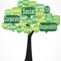 CÁC BƯỚC CƠ BẢN ĐỂ XÂY DỰNG MỘT BÁO CÁO CSR (CORPORATE SOCIAL RESPONSIBILITY)