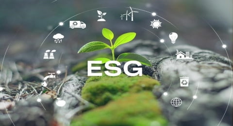 Khám Phá ESG - Nền Tảng Của Sự Phát Triển Bền Vững