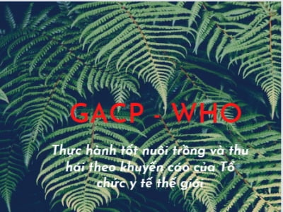 TIÊU CHUẨN GACP-WHO