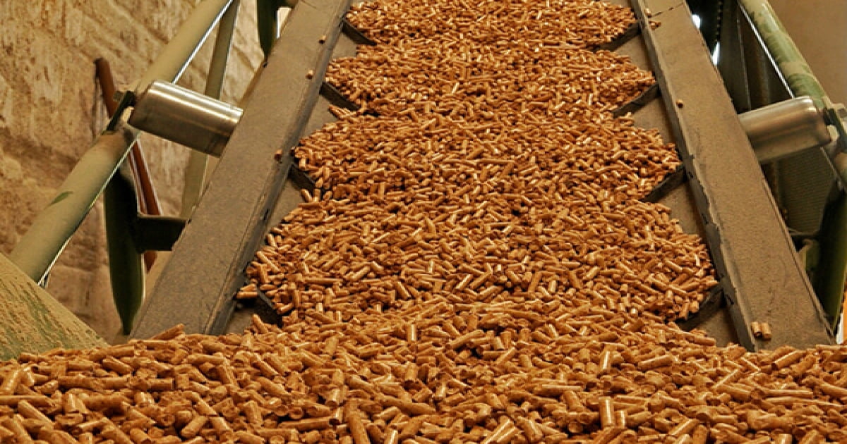  chứng nhận chất lượng cho viên nén gỗ ENplus
