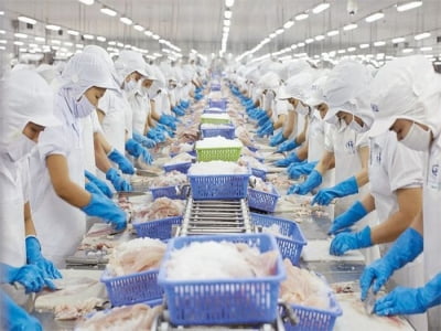 Tiêu chuẩn HACCP trong sản xuất và chế biến thực phẩm