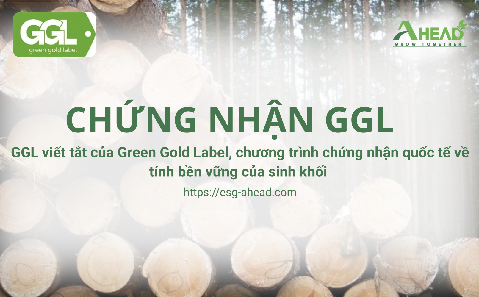 Ảnh màn hình 2025-09-11 lúc 11-02-52 (1)
