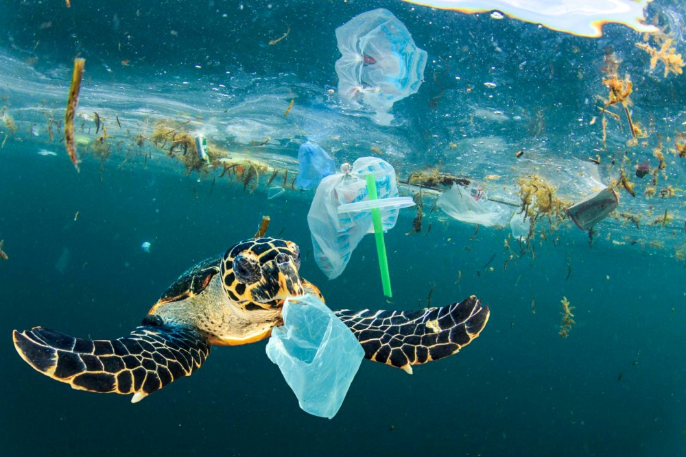 các tiêu chuẩn quốc tế về nhựa tái chế
