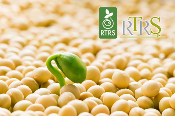 RTRS - Hội nghị bàn tròn về đậu nành có trách nhiệm