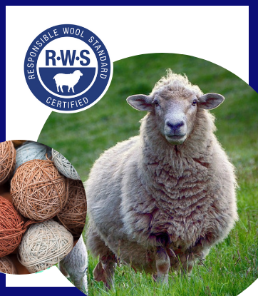 Bạn biết gì về tiêu chuẩn RWS - Responsible Wool Standard ?